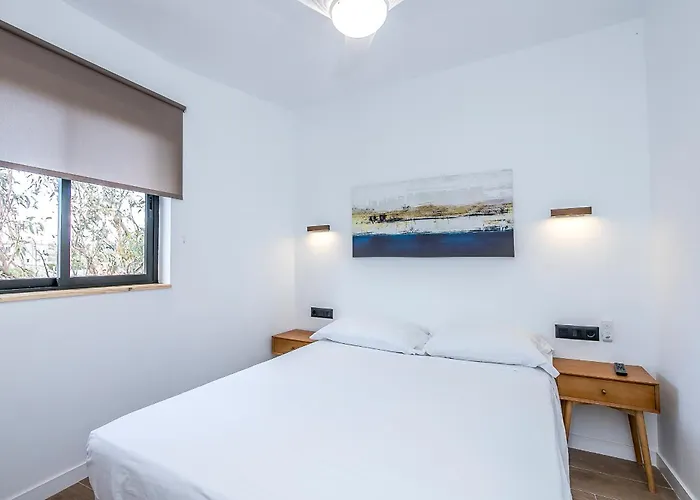 Lea Modern Attic Escape With Peaceful Terrace Santa Cruz de Tenerife